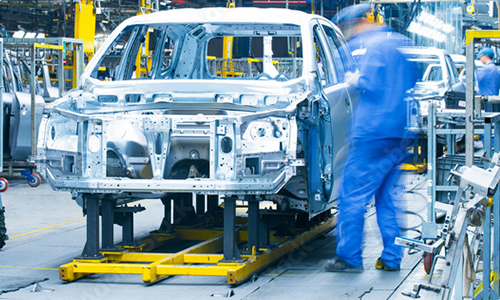 Car Plant Image